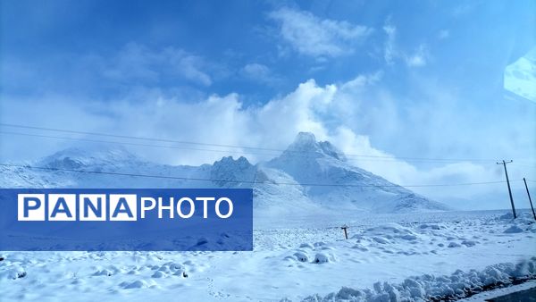 بروجن در پوشش سفیدی برف