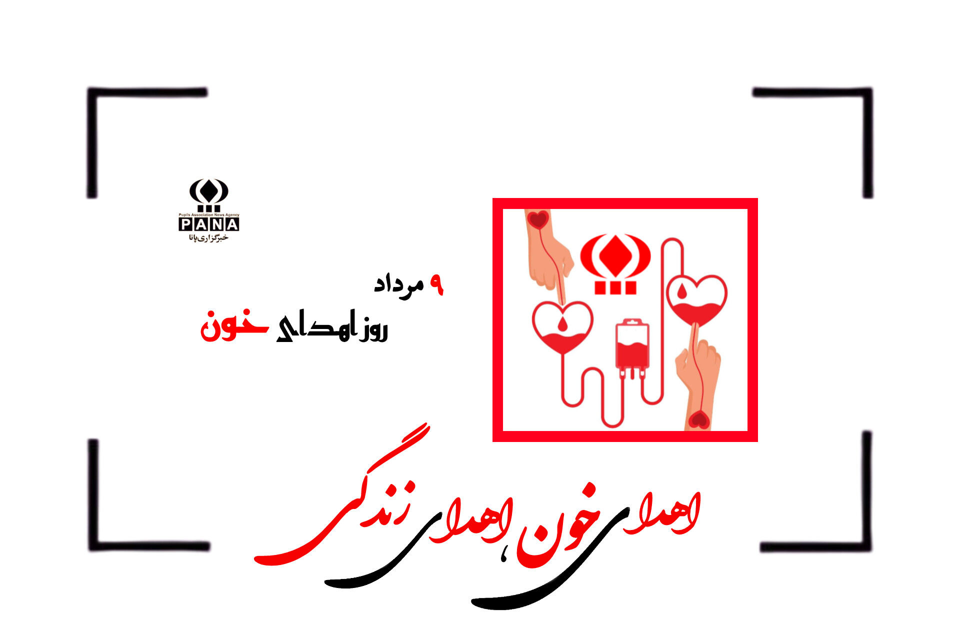 هدیه‌ای که فقط از قلب شما می‌آید؛ روز اهدای خون و هنر بخشندگی
