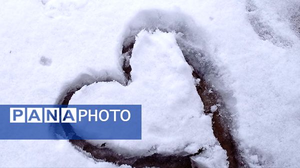 گرداب بن زیر چتر سپید برف