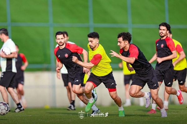 «ویکتور پالسون و خولیسو مودائو» ضامن نارنجک سرخ پرسپولیسی‌ها