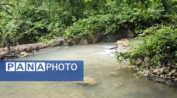 طبیعت بکر باران کوه استان گلستان