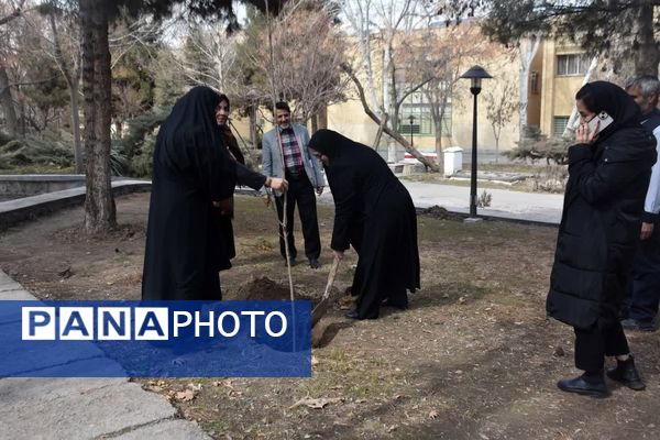 دانشگاه سبز می‌اندیشد