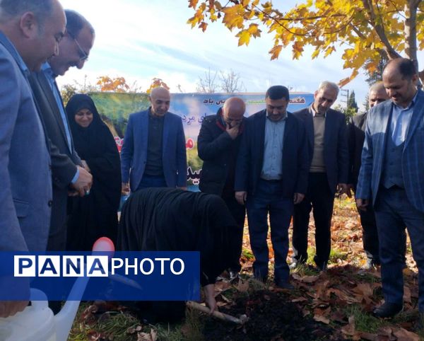 پویش سراسری کاشت نهال در سایه مادر همزمان با ایام ولادت حضرت زهرا (س) در میاندورود 
