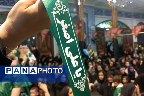 همایش بزرگ شیرخوارگان حسینی در آمل