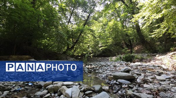 طبیعت بکر باران کوه استان گلستان