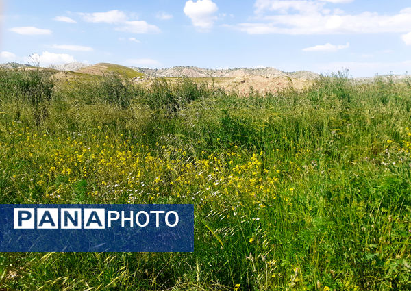 طبیعت بسیار خاص منطقه زیودار شهرستان معمولان