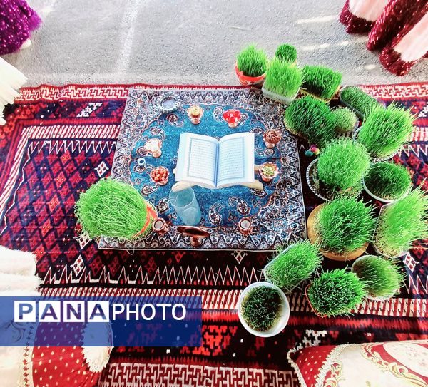 شگفتی‌های زیبایِ شکفتن و سبز شدن 