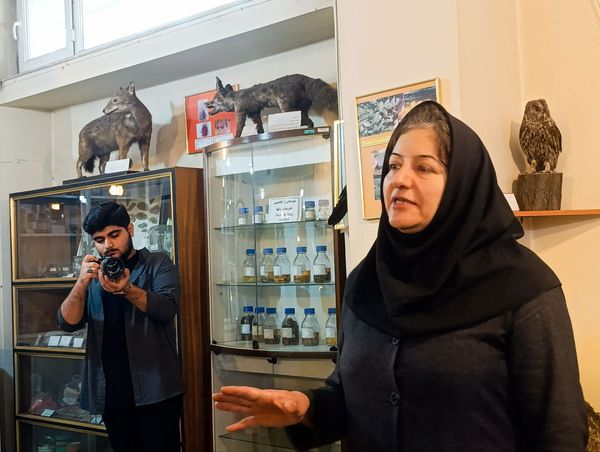 بازدید گروهی محور کشاورزی ، دامپروری ، شیلات از موسسه تحقیقات گیاه پزشکی کشور