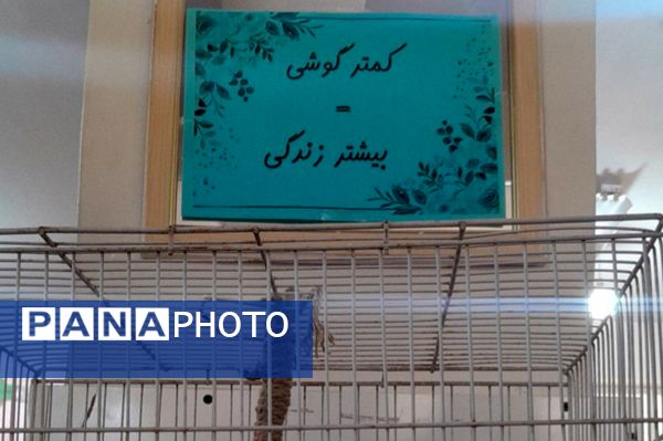 نواختن زنگ هفته سلامت روان در دبیرستان حضرت معصومه (س) شهرستان فیروزه
