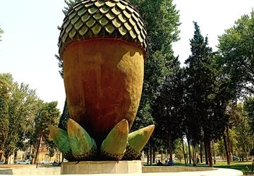 وقتی بلوط قصه می‌گوید…