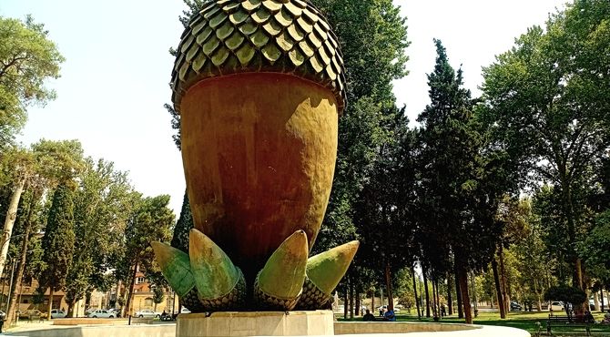 وقتی بلوط قصه می‌گوید…