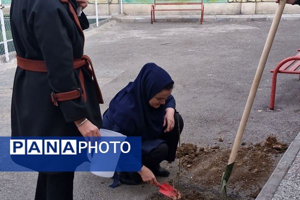 زینت بخشی مدارس شهرستان قدس با کاشت نهال های جوان