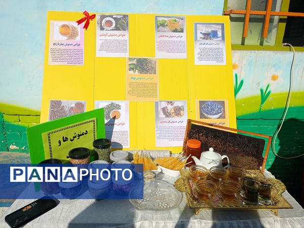  افتتاحیه پارک سلامت و آغاز به کار سفیران محیط یار  دبستان بنت الهدی صدر