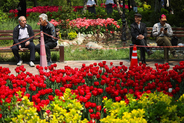 فصل لاله‌ها در بوستان باغ ایرانی