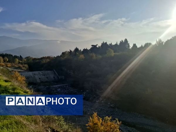 جنگل‌های هیرکانی کردکوی