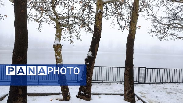 برف بی‌پایان، شهرستان بن را در آغوش سپیدی برد