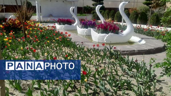جلوه‌گری رنگ‌ها در دل بهار در یازدهمین جشنواره لاله‌ها در پارک چمران کرج