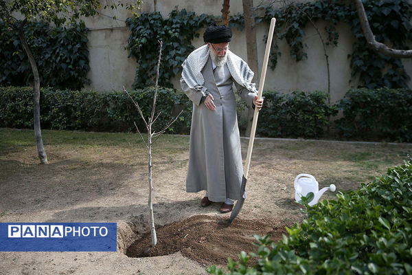 کاشت سه نهال توسط رهبر انقلاب در روز درختکاری