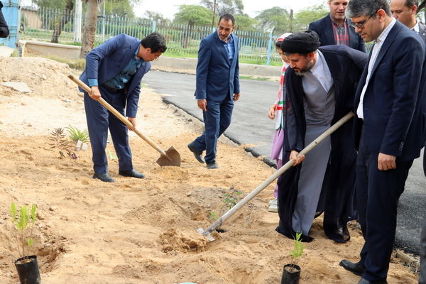 کاشت نهال در مدرسه شهید مبارکی پایگاه هوایی بوشهر/ فیلم 