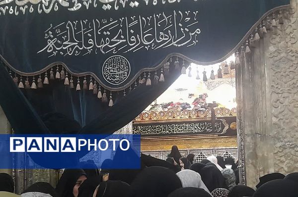 حرم حضرت معصومه(س) در شب شهادت برادر