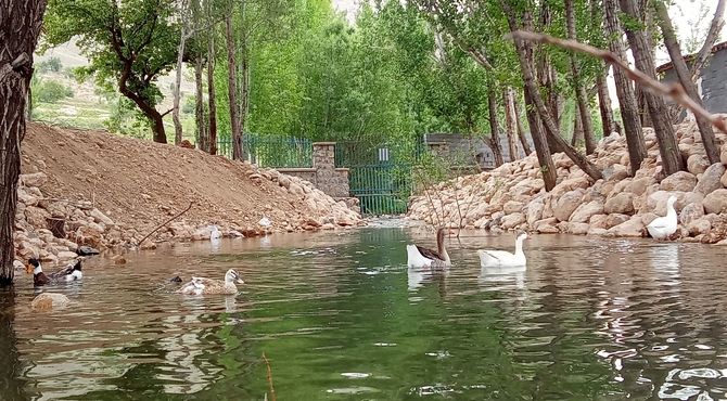 دالان بهشت میزبان هنرستانی‌های بن بود