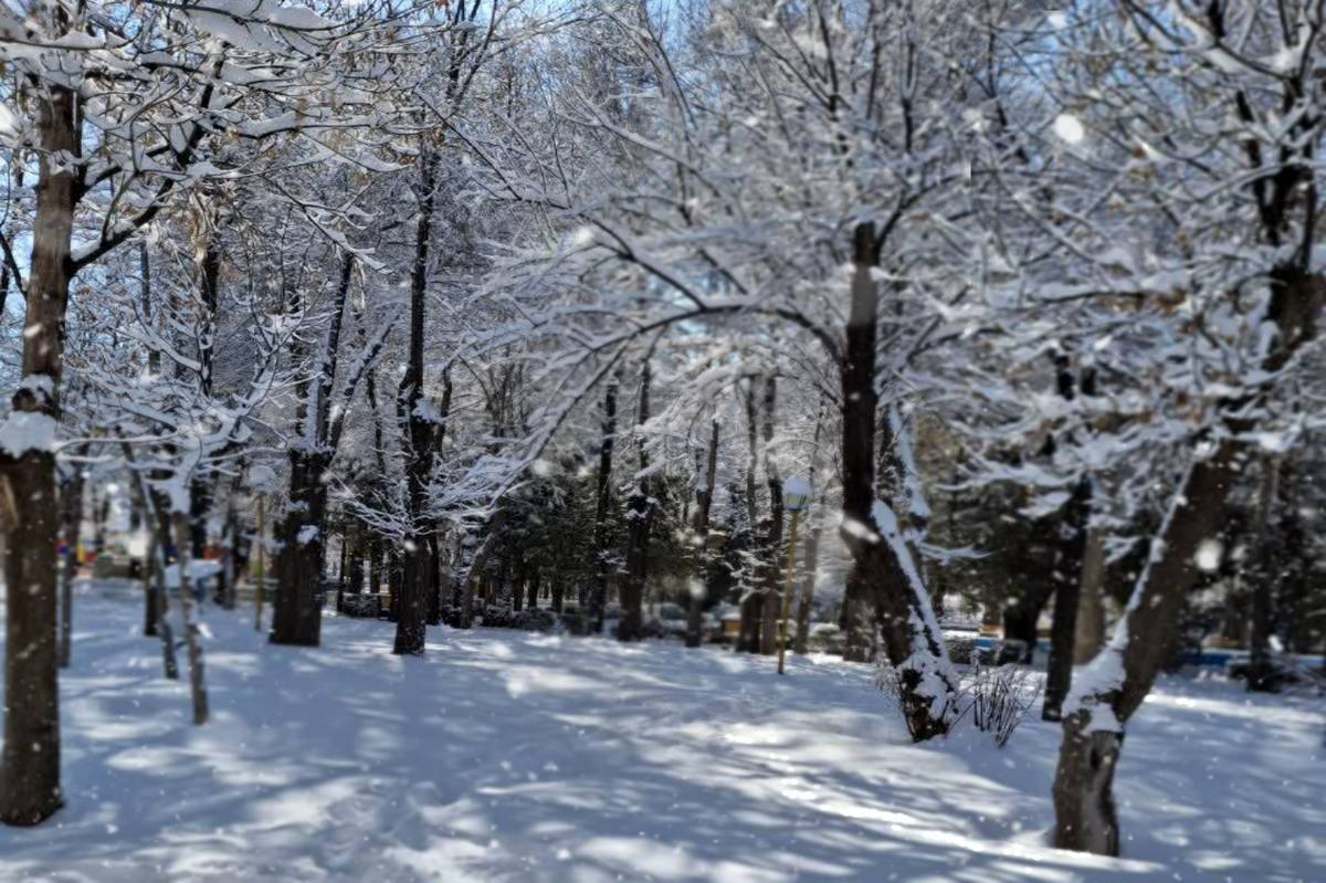 بارش برف در شمال تهران