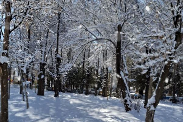 بارش برف در شمال تهران