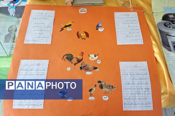 نمایشگاه دست سازه‌های علوم و آزمایشگاه در دبیرستان پویش 