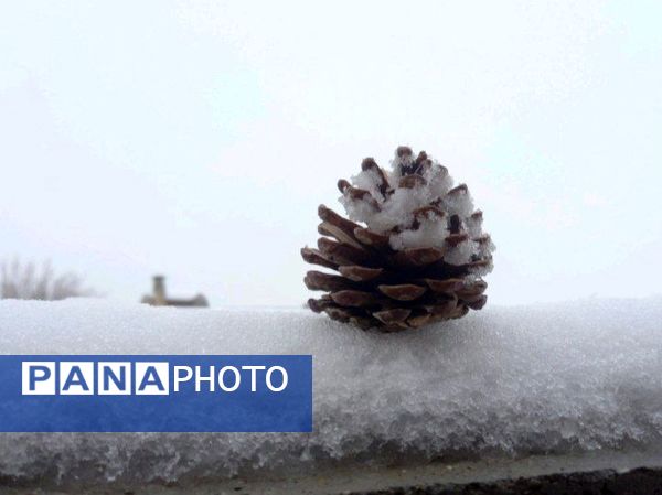 برف زمستانی، مهمان شهرستان کیار