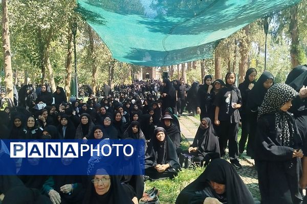 جاماندگان اربعین حسینی در  راهپیمایی حرم تا حرم نیشابور 