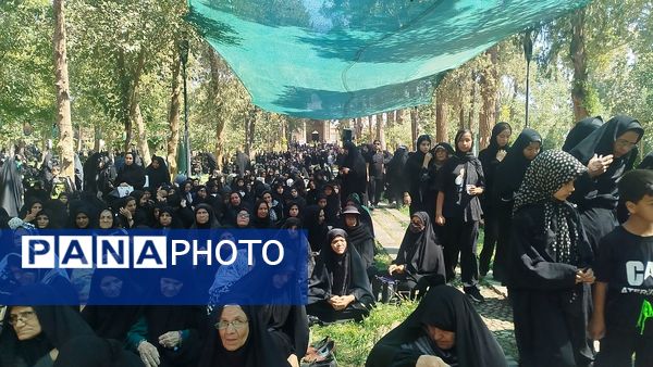 جاماندگان اربعین حسینی در  راهپیمایی حرم تا حرم نیشابور 