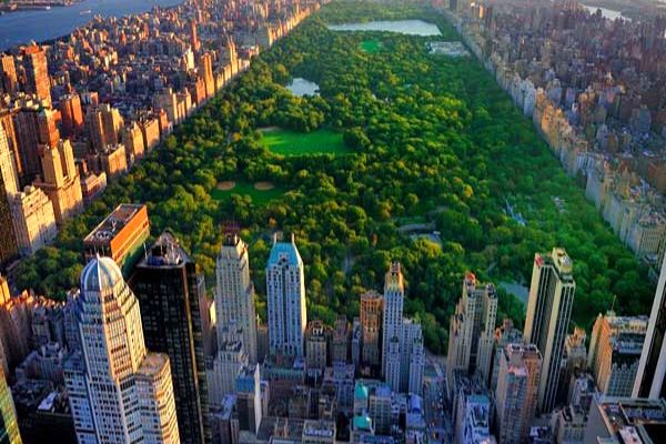 فضای سبز شهری سلامت روان شهروندان را تقویت می‌کند