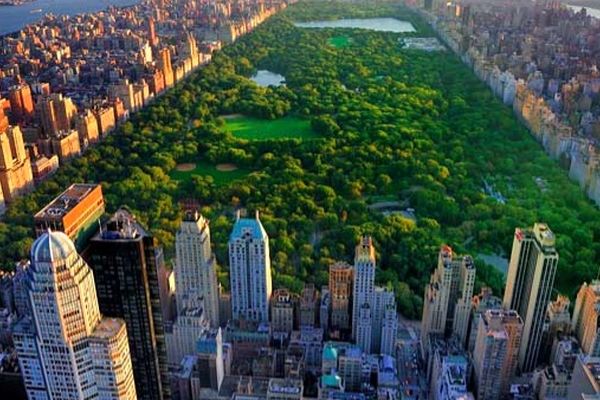 فضای سبز شهری سلامت روان شهروندان را تقویت می‌کند