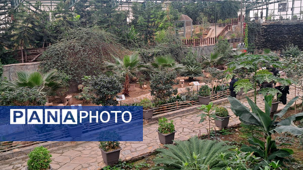 باغ پرندگان قم: جاذبه‌ای بی‌نظیر در قلب کشور