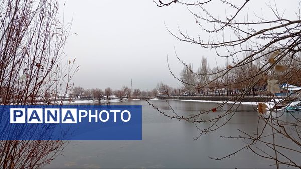 گرداب بن زیر چتر سپید برف