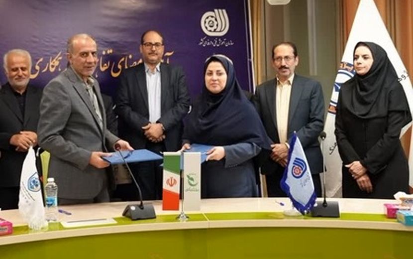 ایجاد پیوند بین نظام آموزش مهارتی و آموزش‌وپرورش غیردولتی