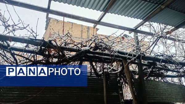 مارکده در آغوش سپیدی برف