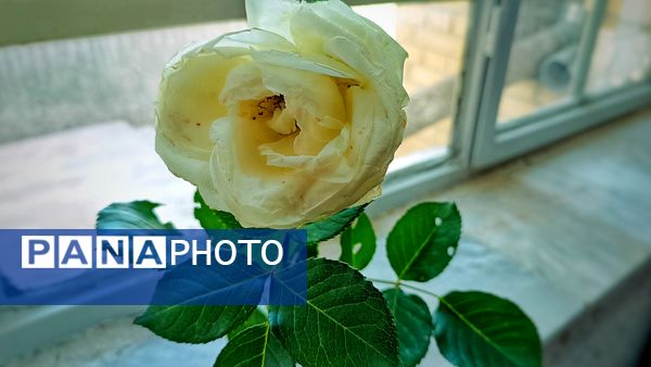 گعده میز هنر ( محله باهنر) شهرستان مارگون با محوریت کلاس‌های آموزشی، تربیتی و عرفانی