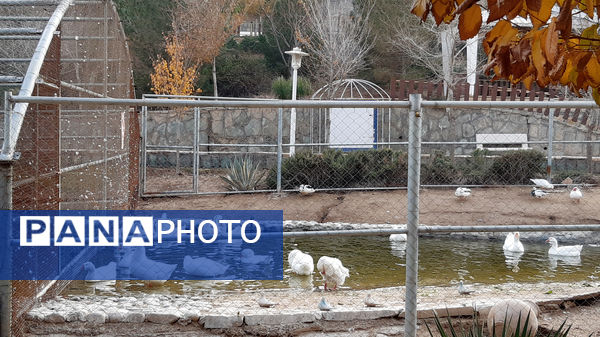 باغ پرندگان قم: جاذبه‌ای بی‌نظیر در قلب کشور