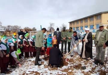 کاشت نهال در دبستان شکوفه‌های انقلاب