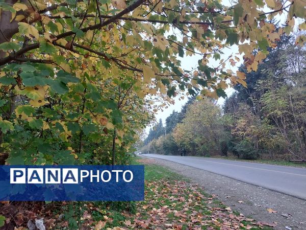 کردکوی، سرسبزترین شهرستان گلستان