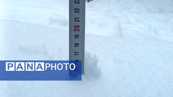 بارش برف در ارتفاعات شاندیز