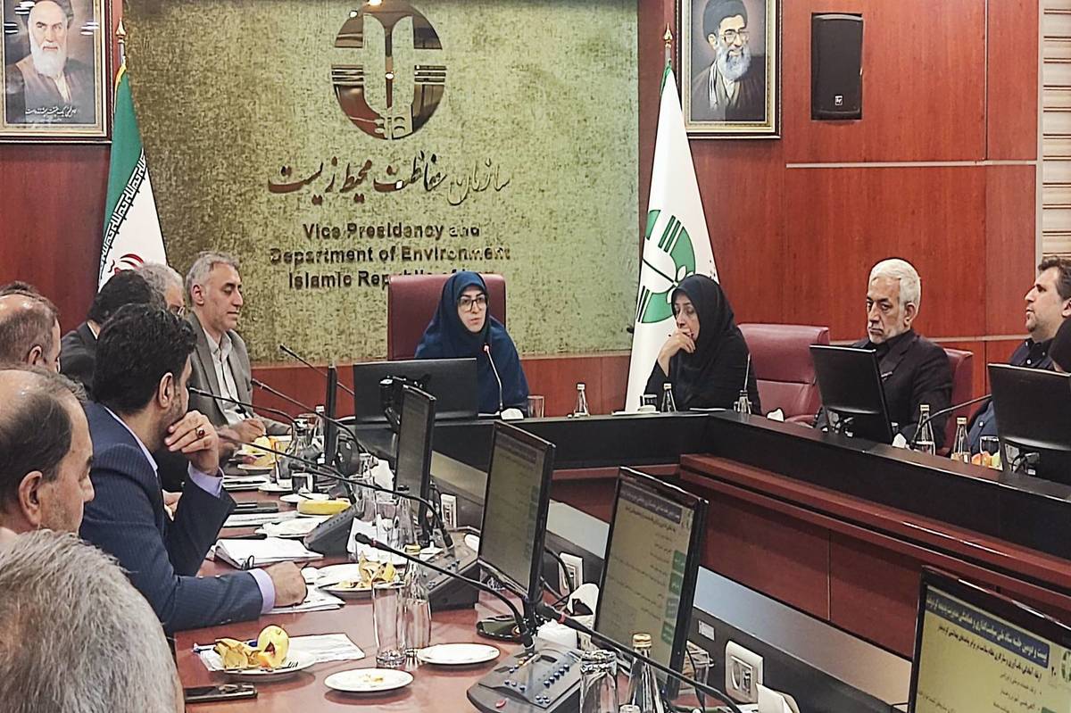 دیپلماسی گرد و غبار باید با حضور متخصصان تقویت شود