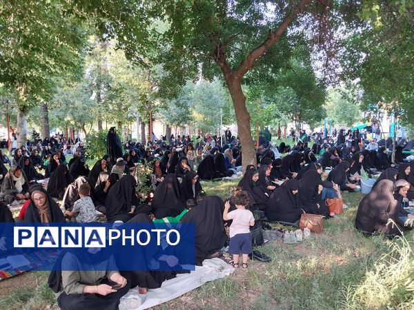 دعای روح بخش عرفه در شهرستان دره شهر 