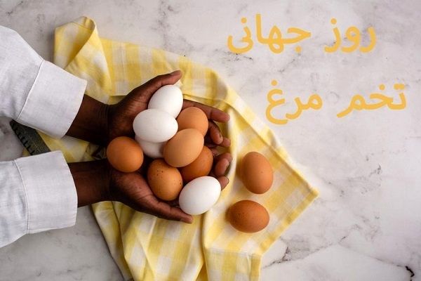 تخم‌مرغ؛ گوهری ساده در سفره‌ زندگی است