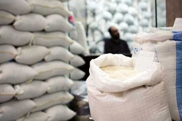 لغو ممنوعیت ترخیص برنج در فصل برداشت
