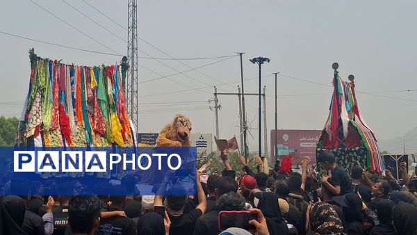 برگزاری آئین «شیر و کتل» در میناب 