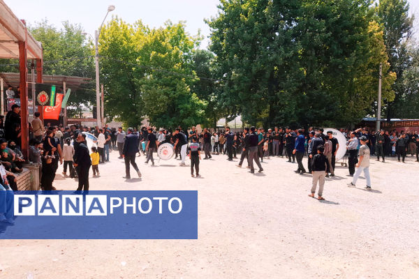 امامزادگان میزبان عزاداران محرم 