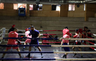 آکادمی ملی بوکس احداث می‌شود