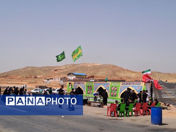گام هایی از جنس عشق به امام رضا (ع)